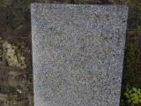 image of grave number 950179